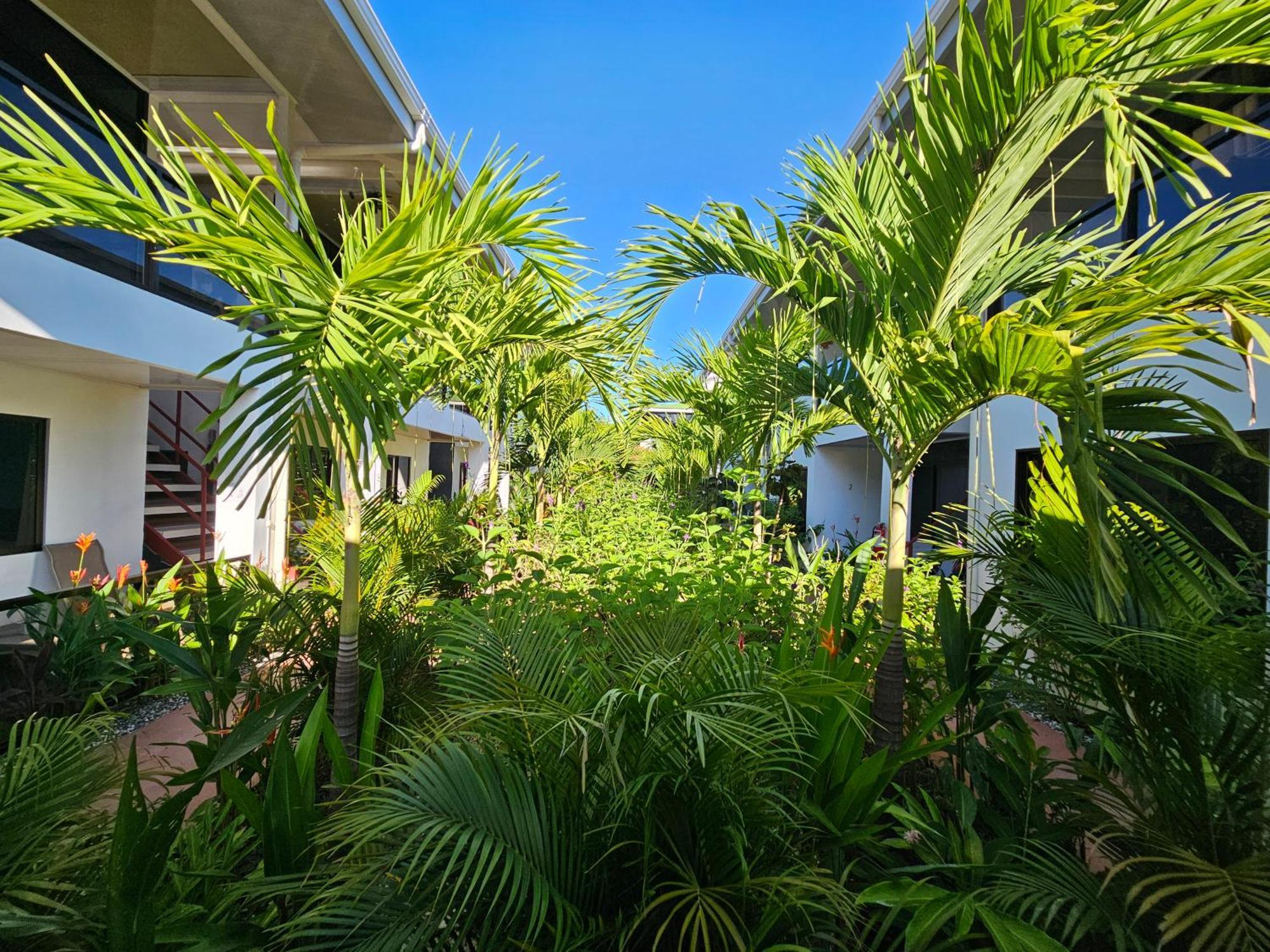 Ballena Rey Hotel Uvita Exteriér fotografie