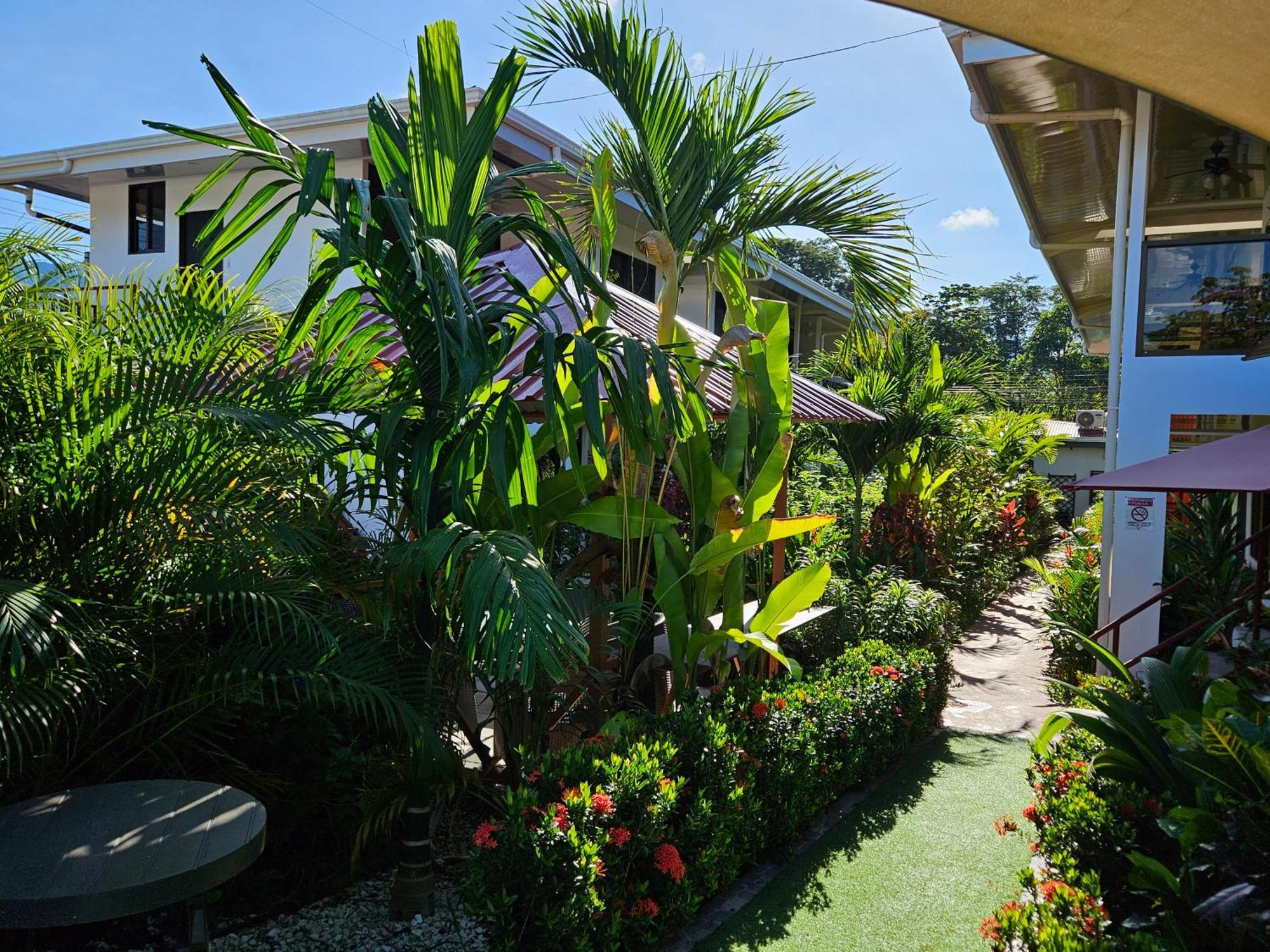 Ballena Rey Hotel Uvita Exteriér fotografie