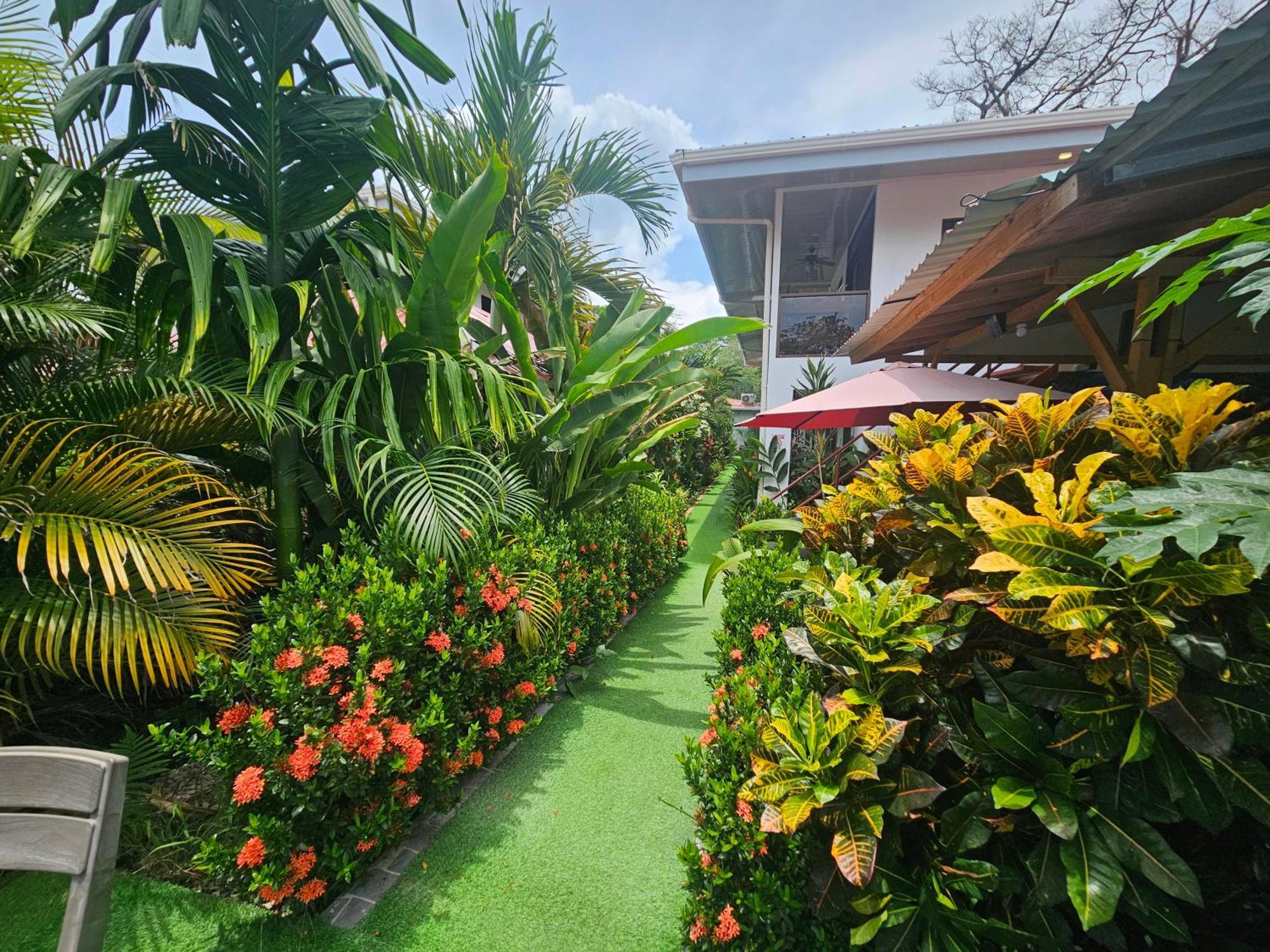 Ballena Rey Hotel Uvita Exteriér fotografie